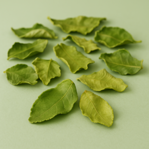Kaffir-Limettenblätter