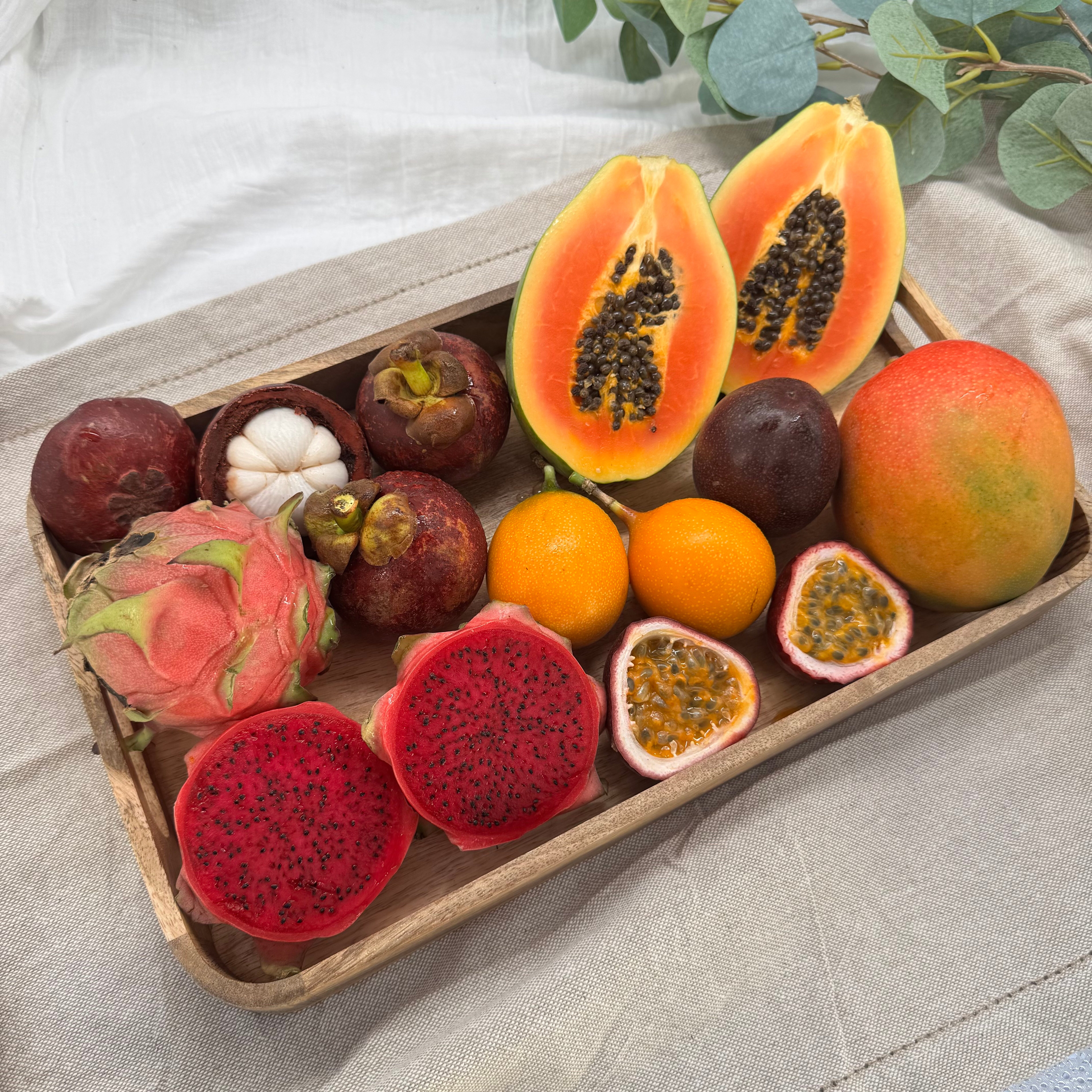 IMG_3147 Jungle Classics