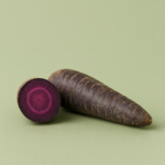 Lila-Karotten-auf-Pastellgruen.png Lila Karotte