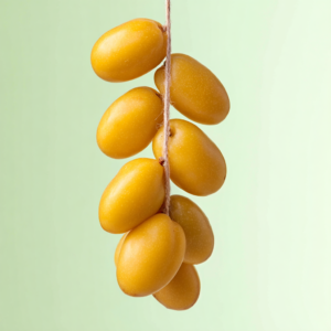 u1271849629_httpss.mj_.runVF3gof7sS80_erstellle_mir_ein_produk_569c3513-d149-4550-814f-8d3bf71c3260_1.png Frische Datteln