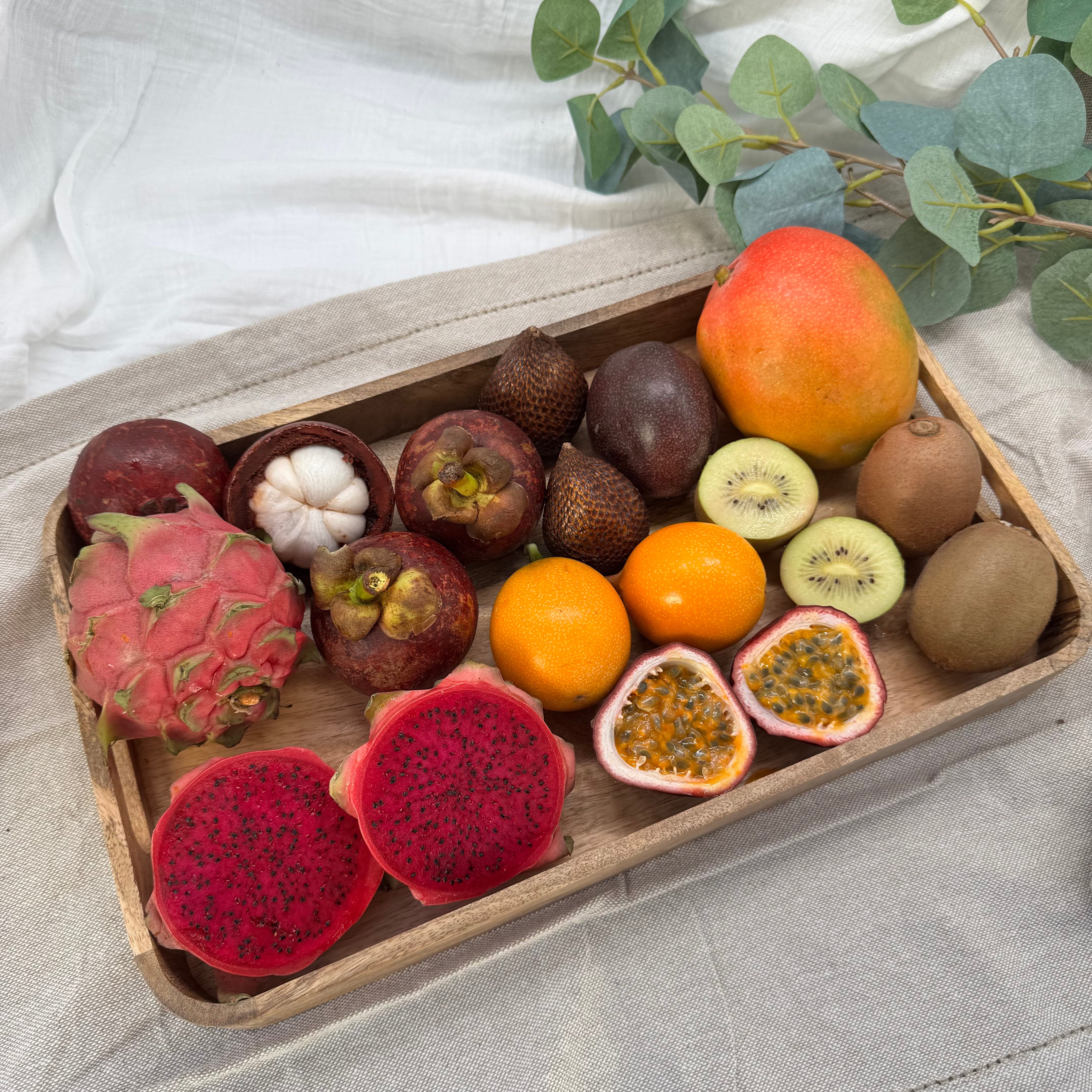 IMG_3173 Jungle Solo