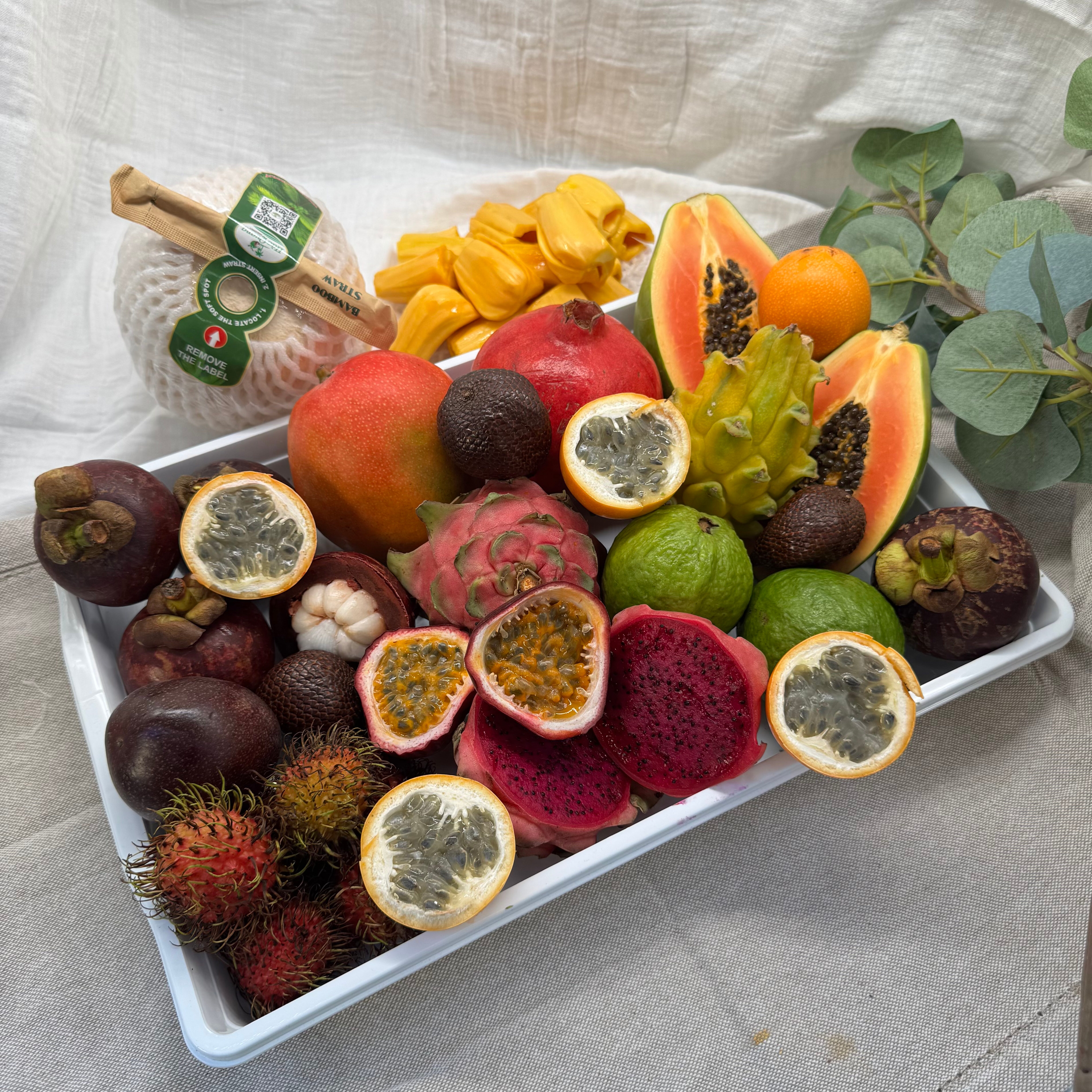 IMG_3316 Jungle Family